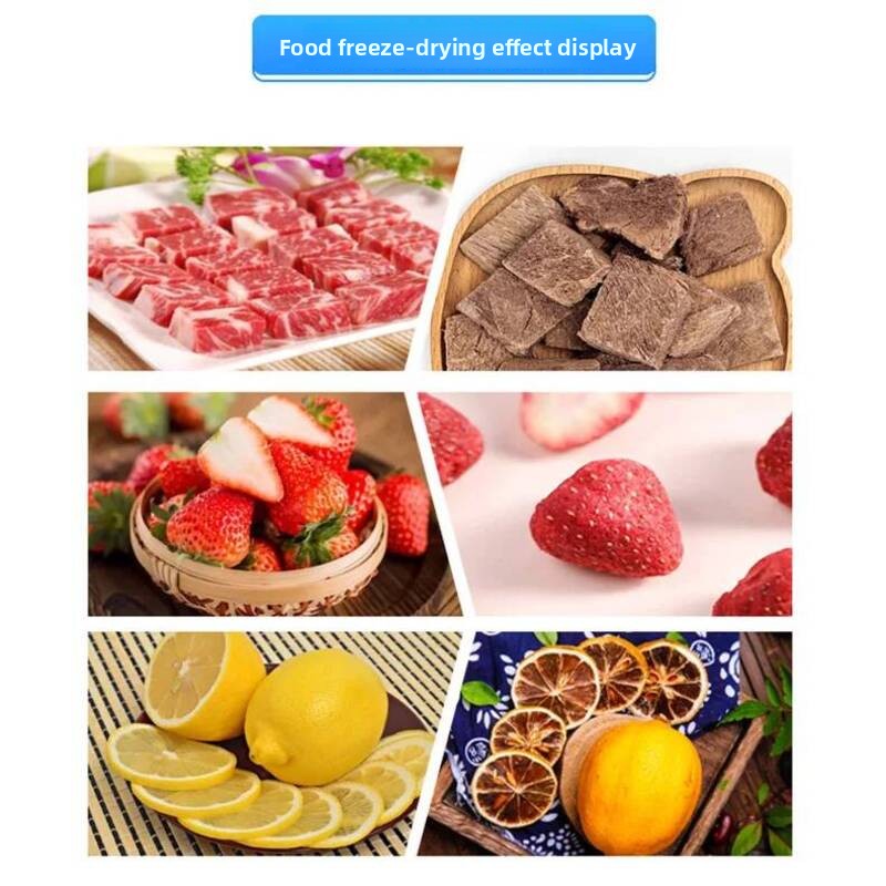 Déshydrateur alimentaire sous  - Food Snacks In Usa avis et prix